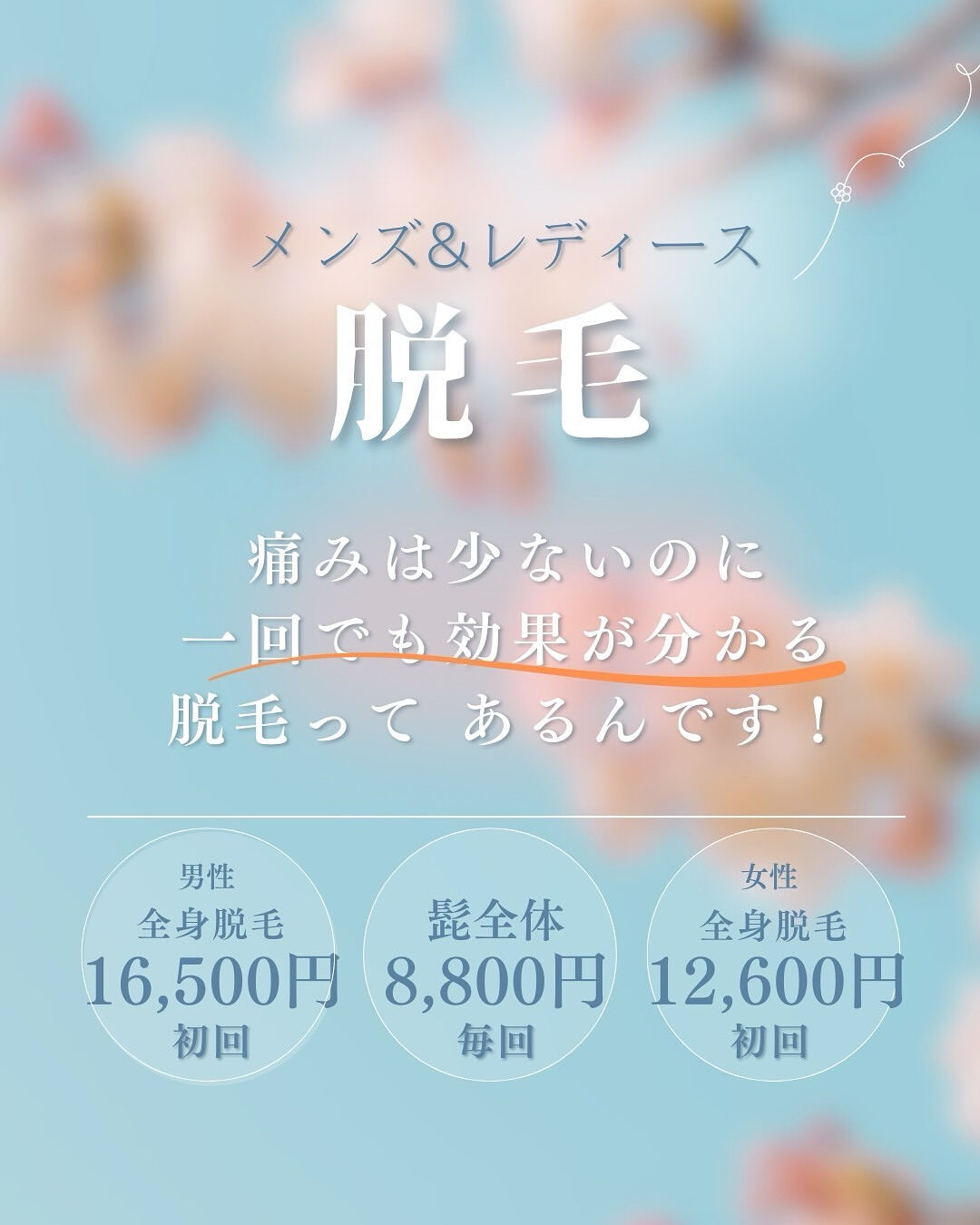 👇他の投稿はこちら